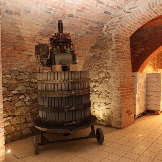 11391429_380910372101958_5856652320979425530_n