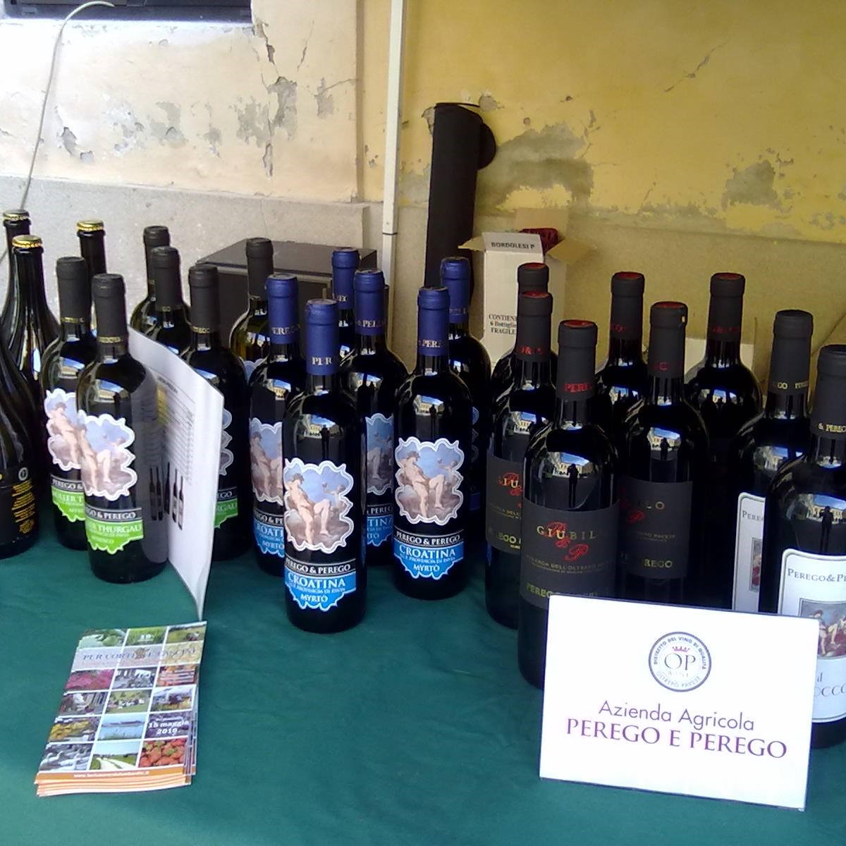 13227248_485706664955661_5852886466056424766_o