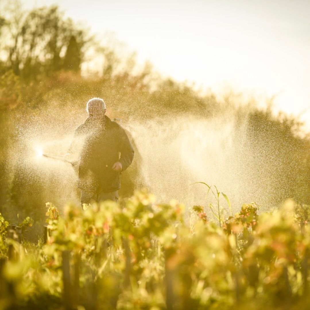 418102124_850458743548176_7567690897894622923_n