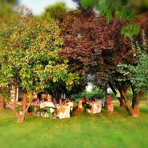 d551e2_2b22f0329b8e4c278db5c97559087dcf~mv2