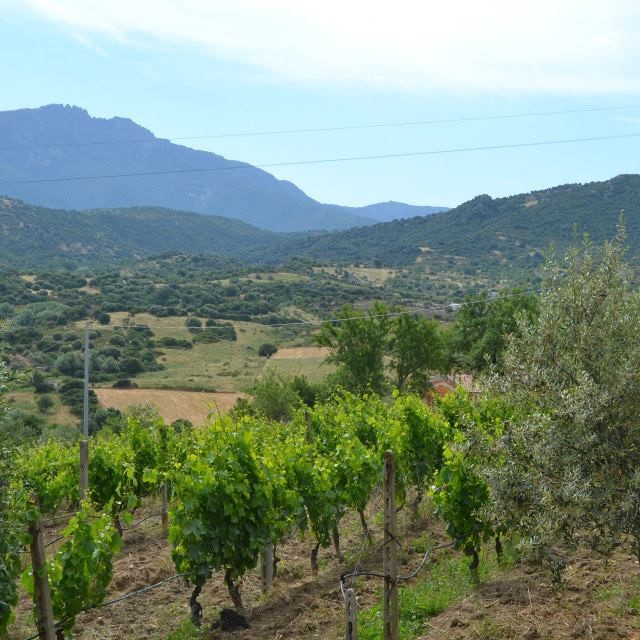 1385617_683447098340270_1729002888_n