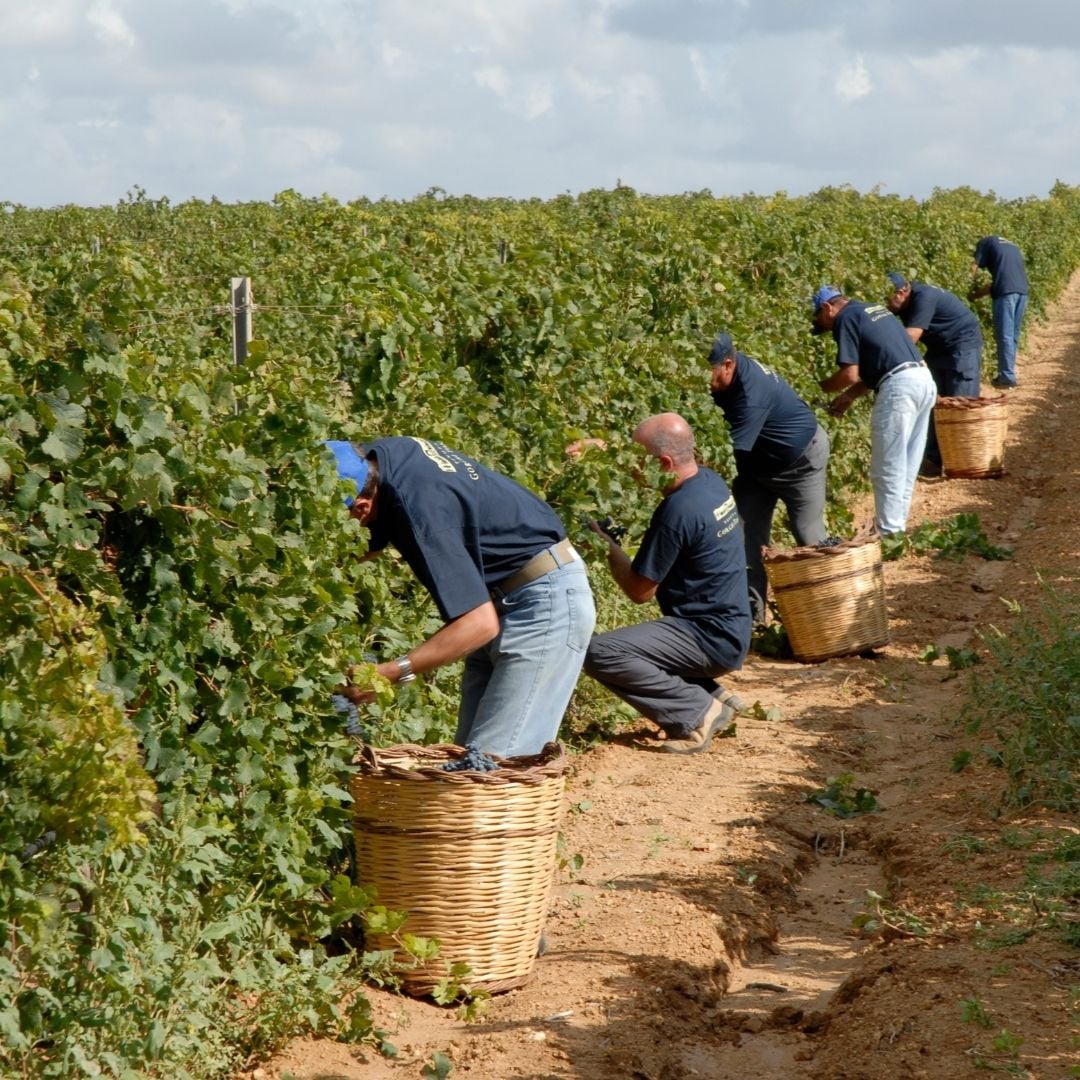 204232372_3892354934208199_4758792083564223535_n