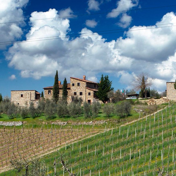 277673256_10158232006645614_3468075967274016122_n