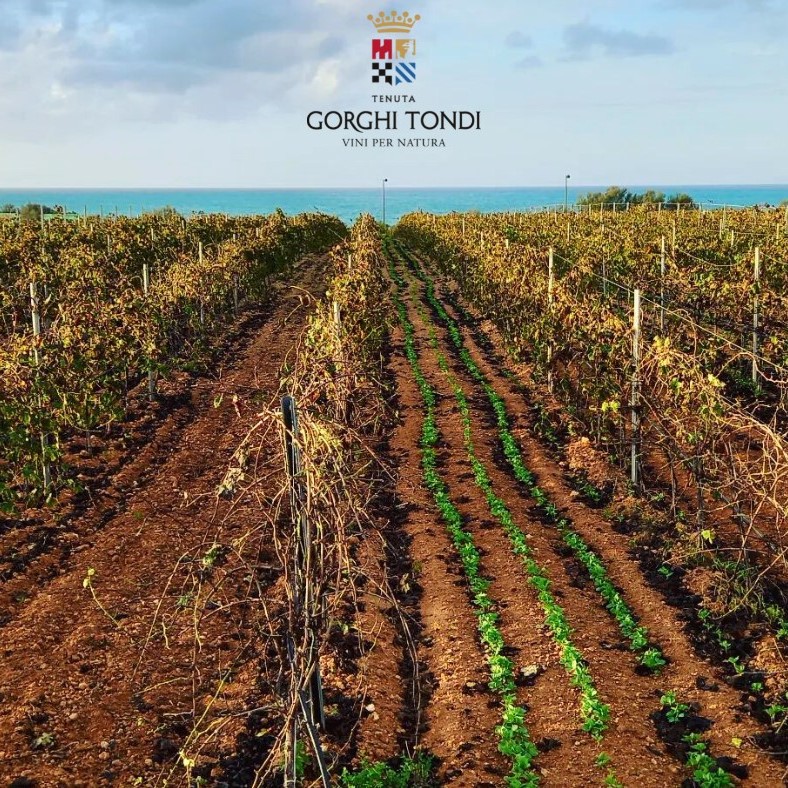 316170312_6260965327265216_8810381699145429816_n