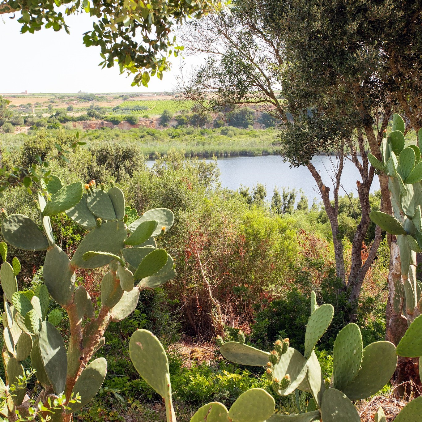 422003751_786396516847979_5403368685399982655_n