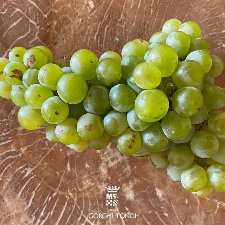 448761389_878810557606574_5634662103283867632_n