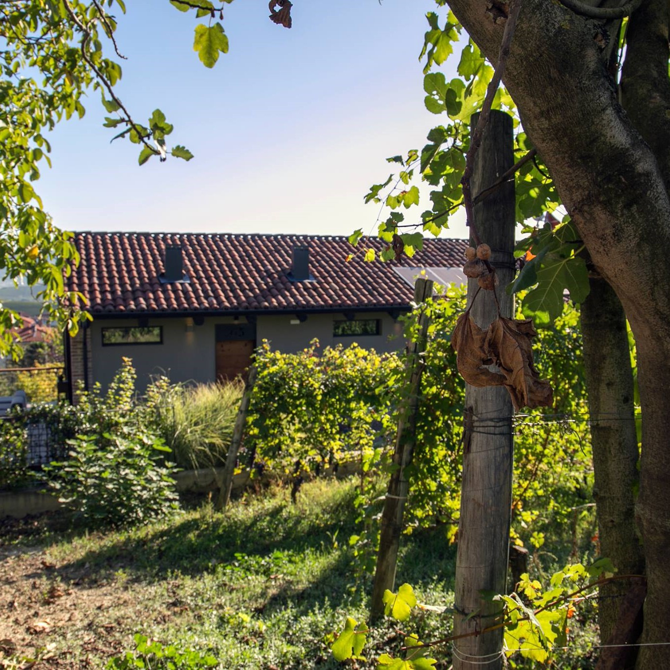 44890965_1063947863773844_272801212946972672_n