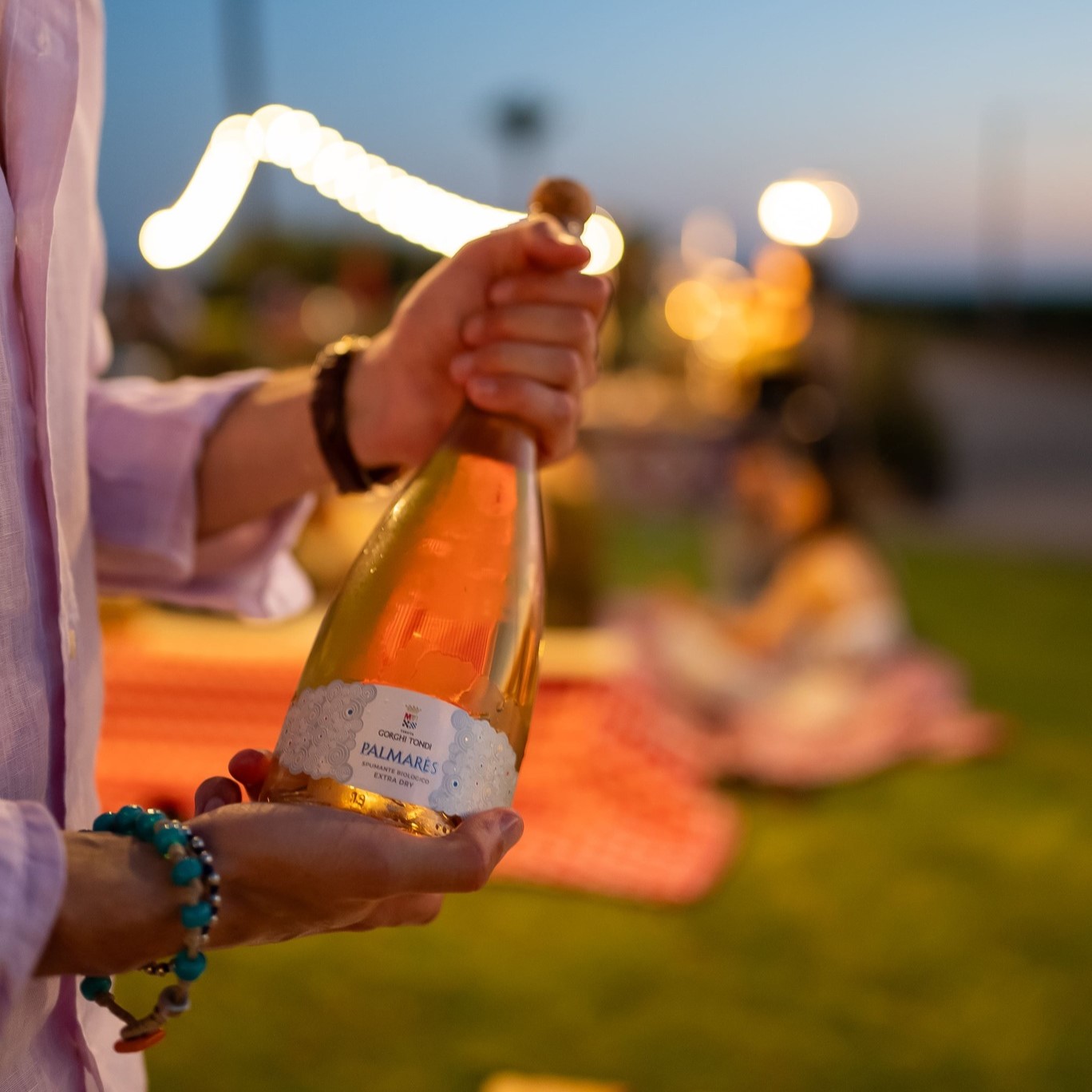 452254583_898603655627264_424007204268231569_n