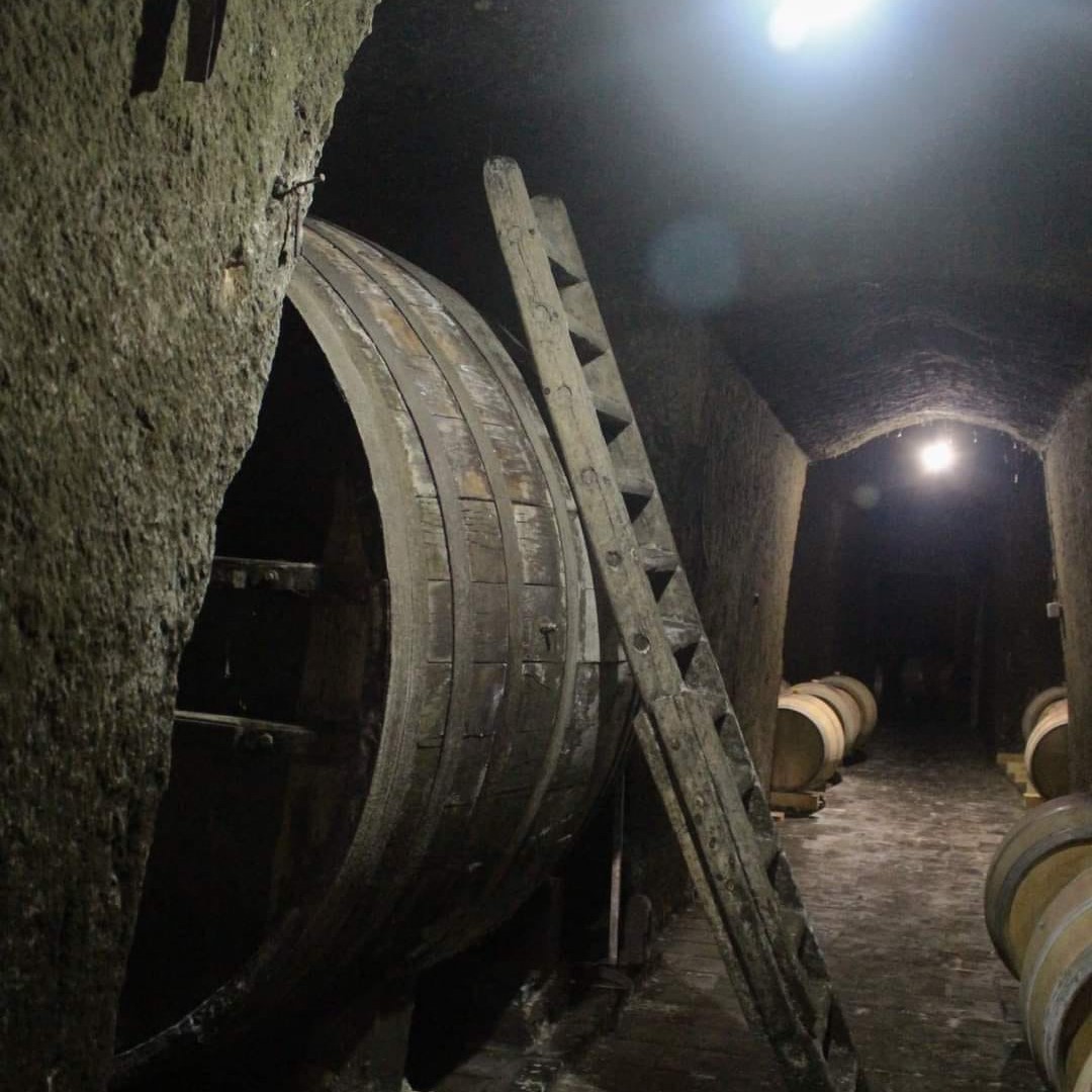 179346967_3958557707569830_9208016223954855969_n