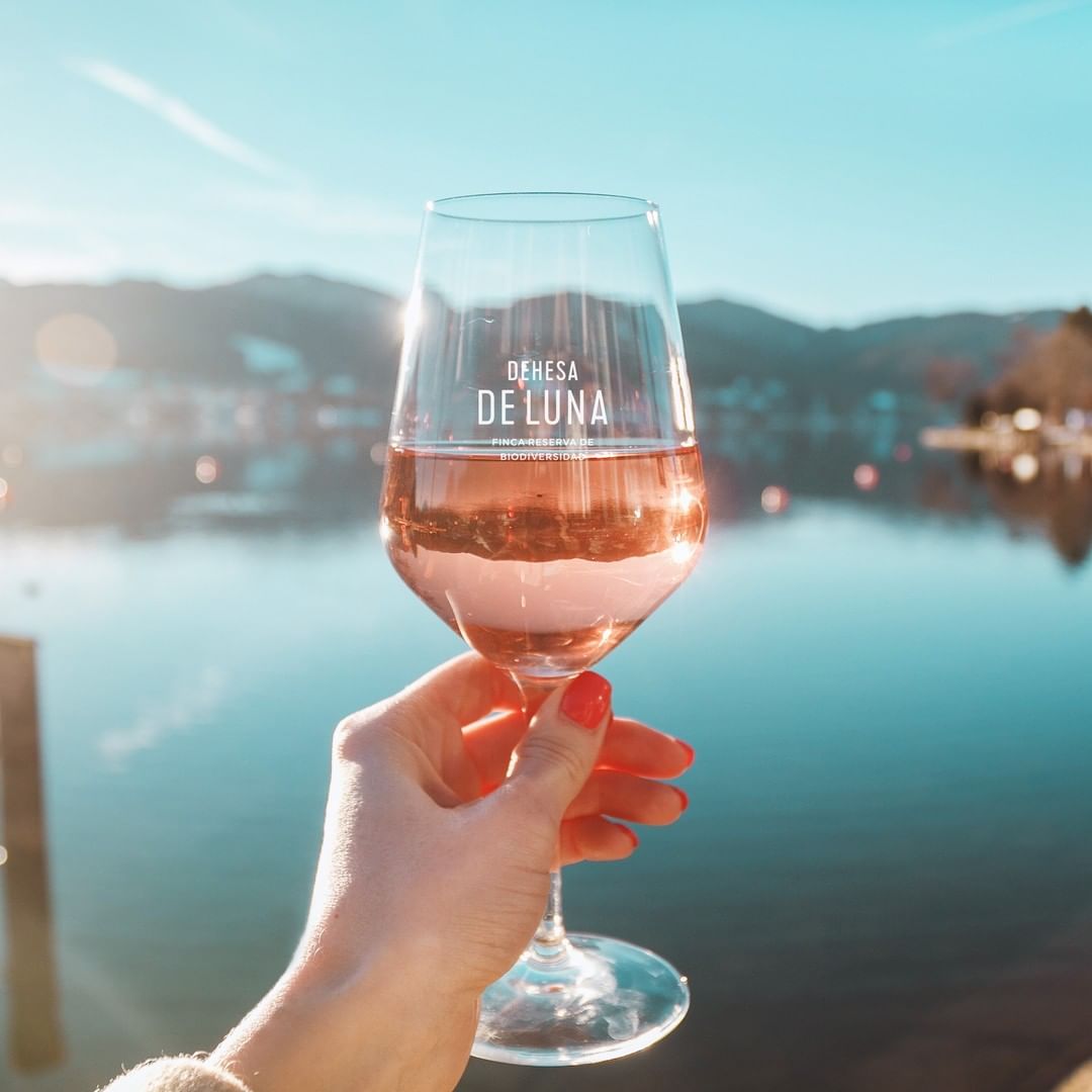 201009209_4348839305161262_7220169405001828435_n