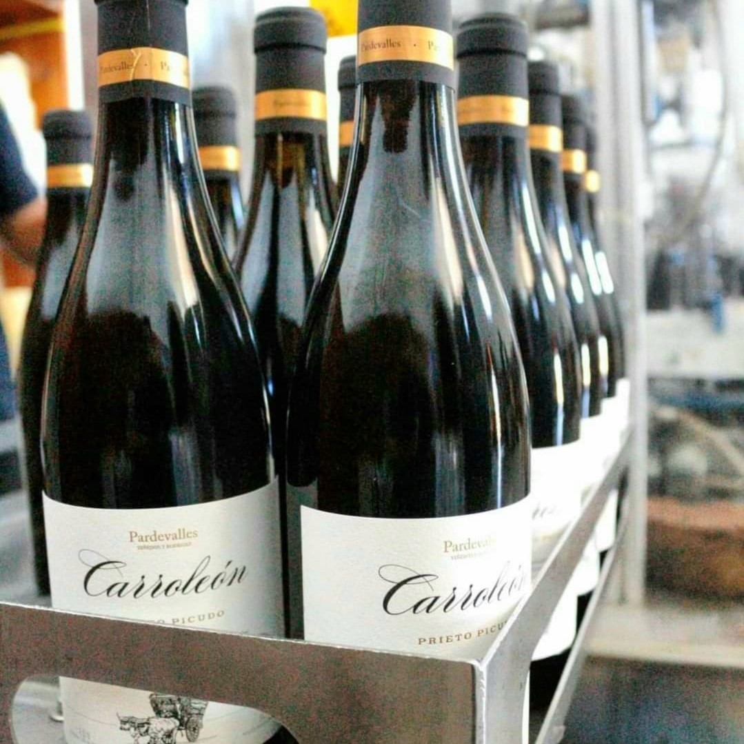 237883898_4284189135006684_3134971234110011422_n