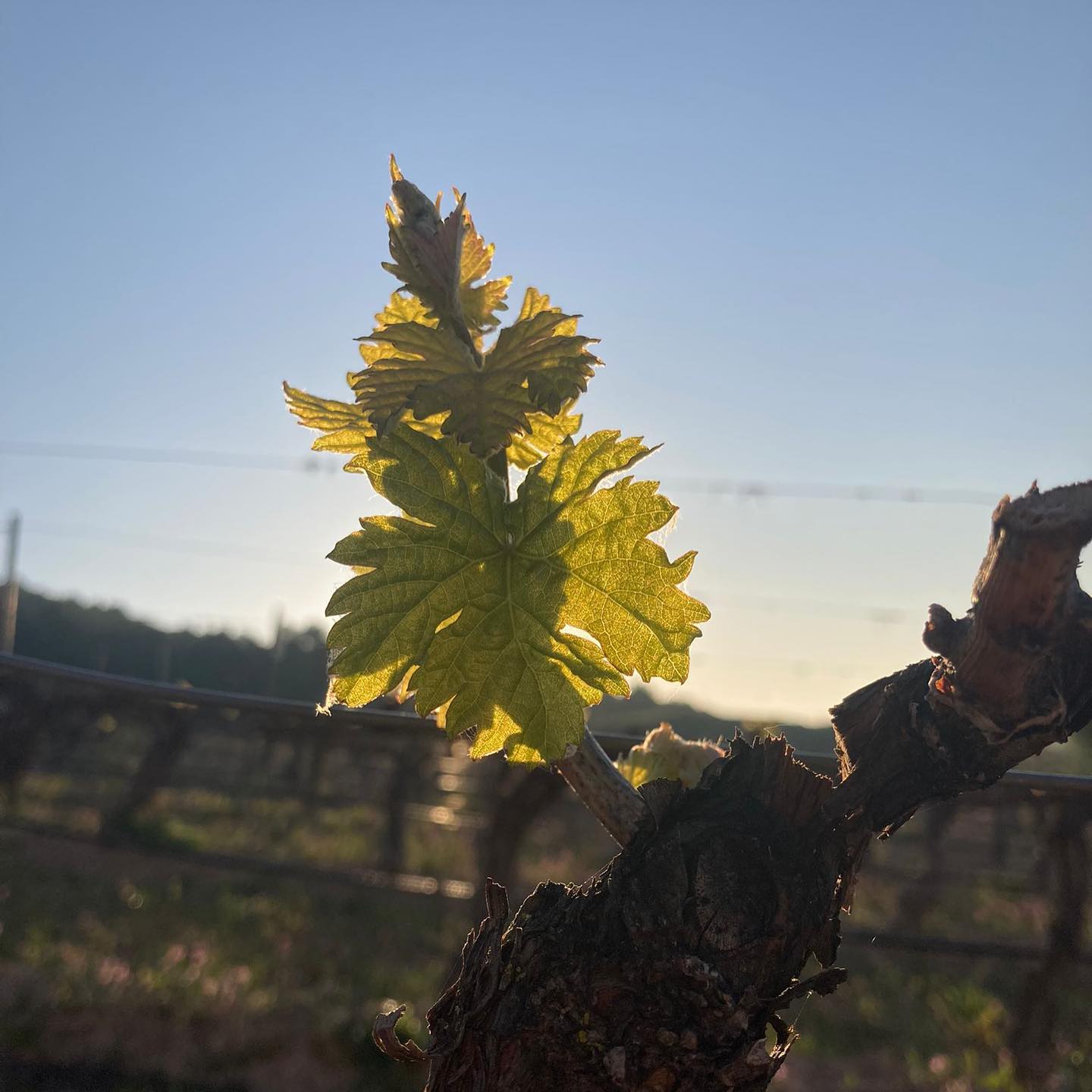 280346145_10159367941607663_1000548640677242647_n