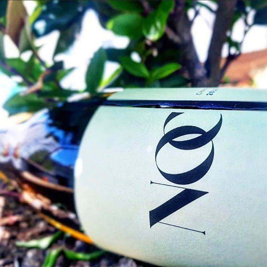 283085657_164082239422877_3457519176755488753_n