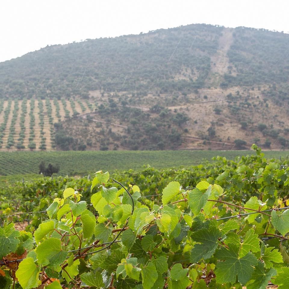 318407127_191224906763511_7488092574522073725_n