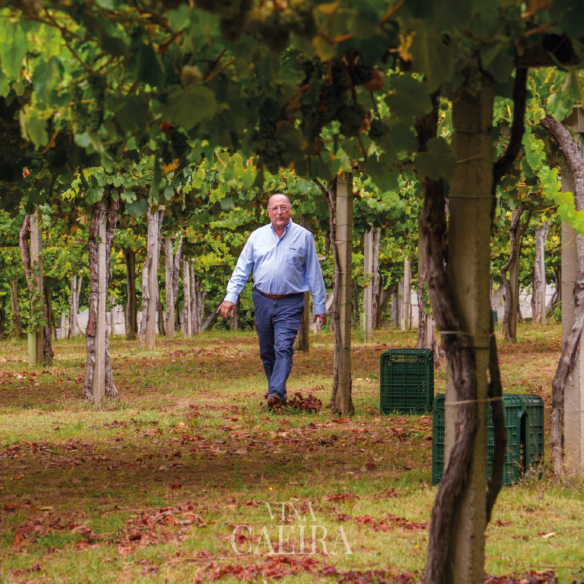 333049064_532086755724264_7507136149353083830_n