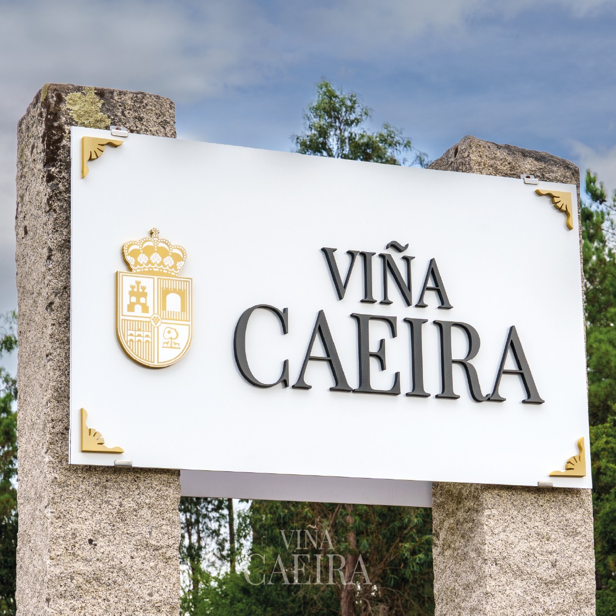 358586101_219474294384732_2257453011637787947_n