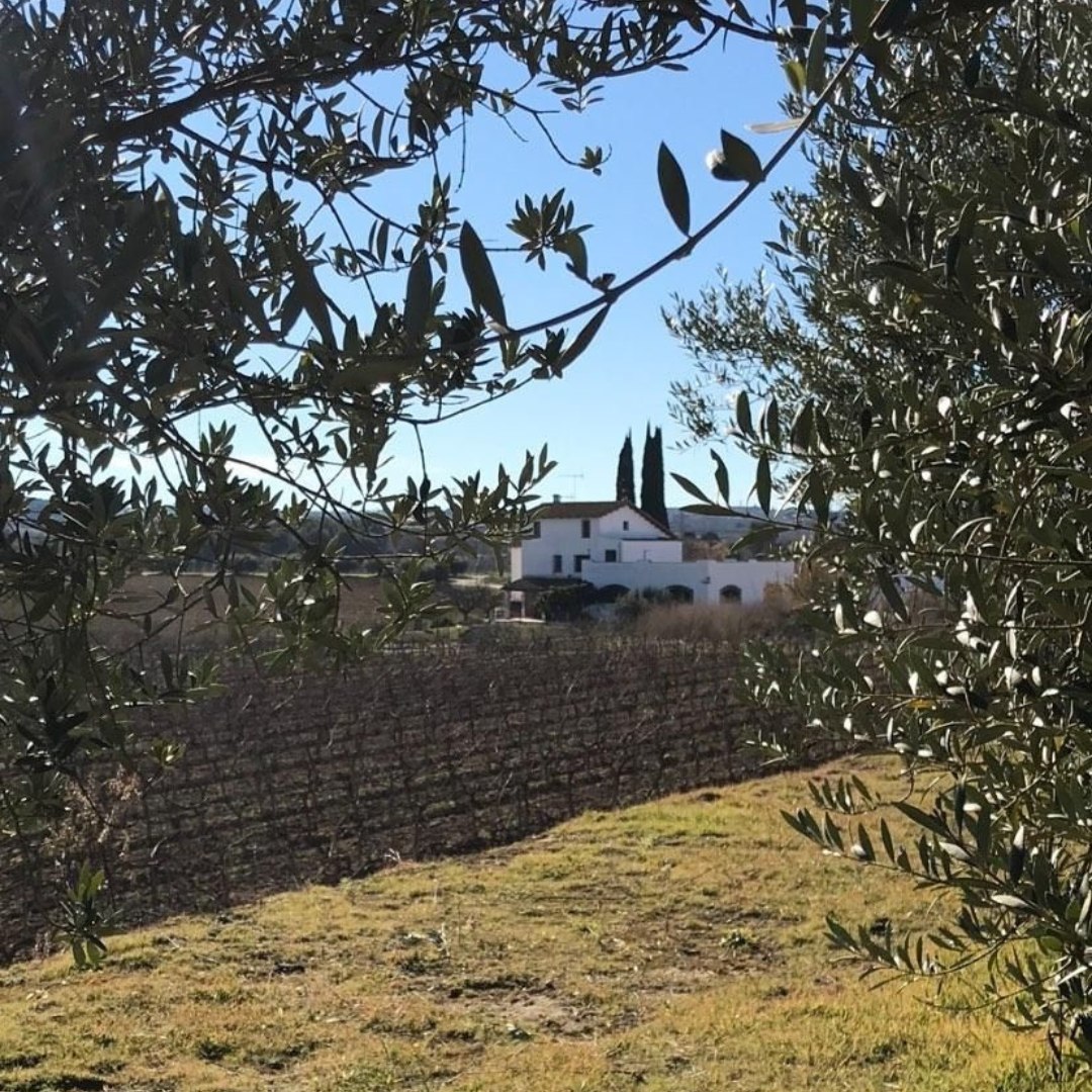 414470653_842301327905443_6842834090054972209_n