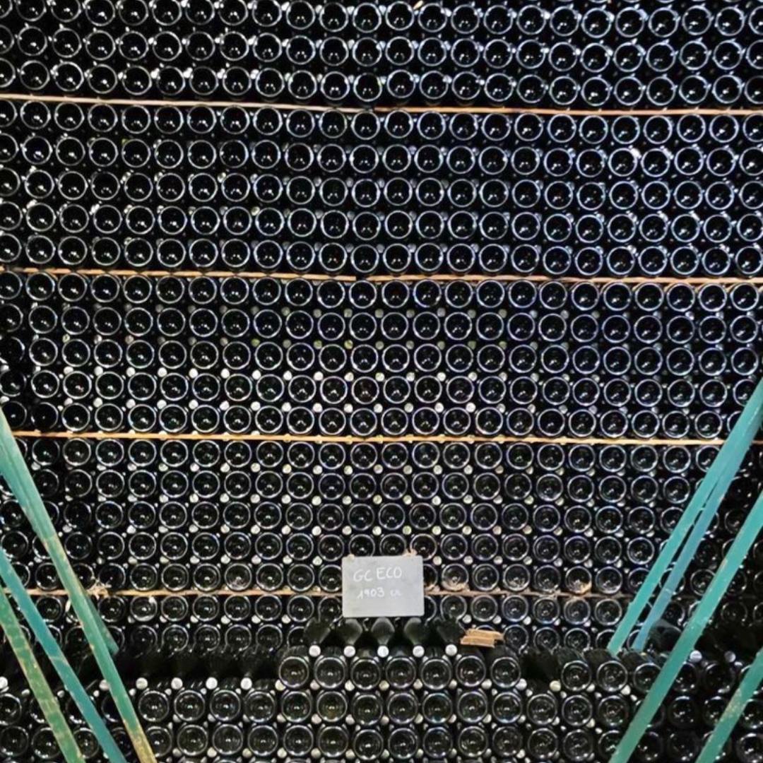 421525296_861140172688225_4290619929441261972_n