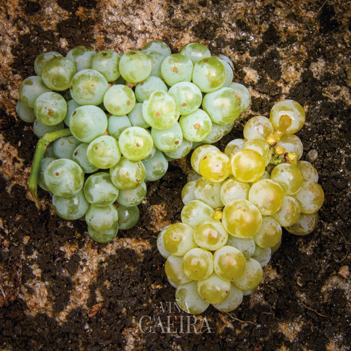 426619255_352961294369364_4934029551794065783_n