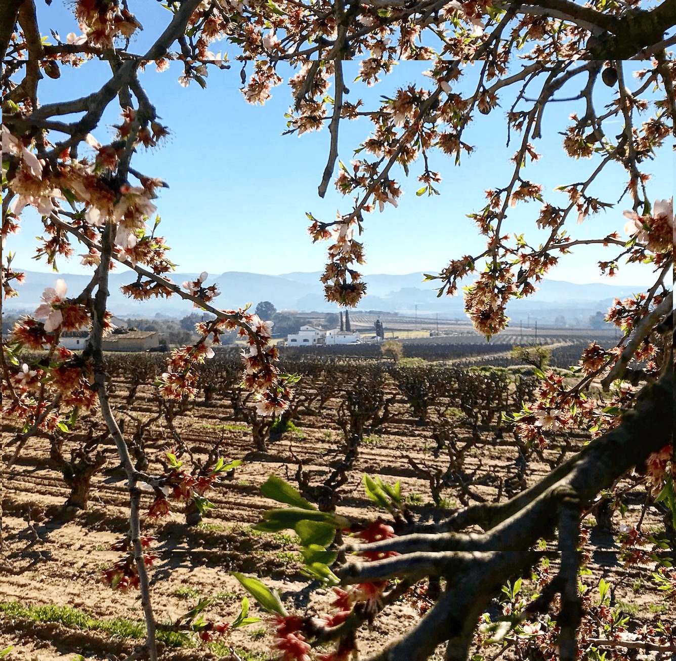 429673253_881185994016976_4090769184549906679_n