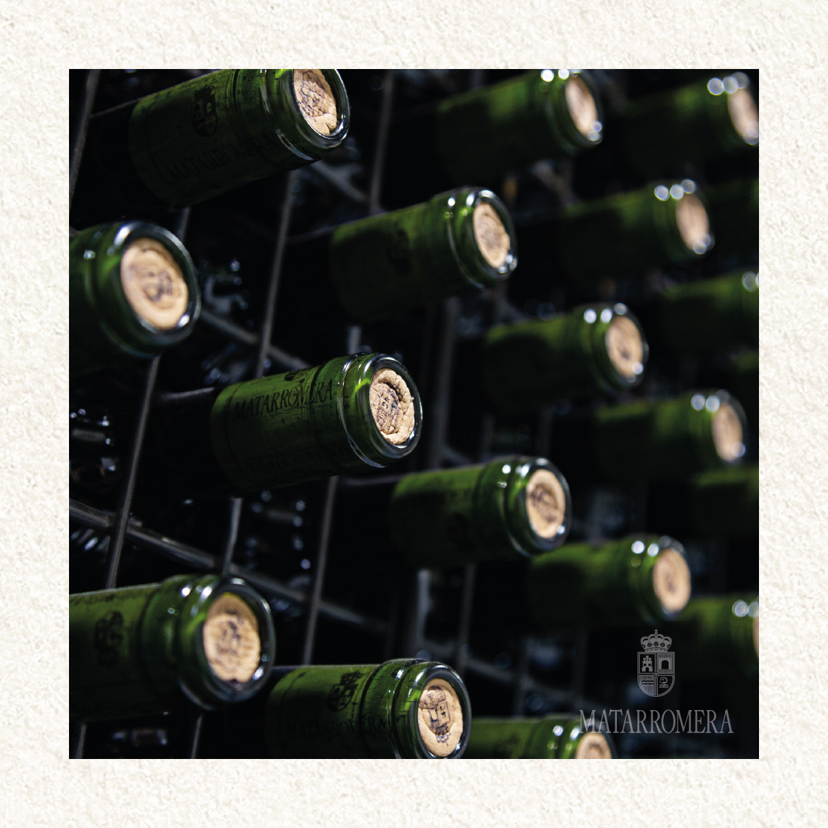 429869067_810459451119768_8498950699468046393_n