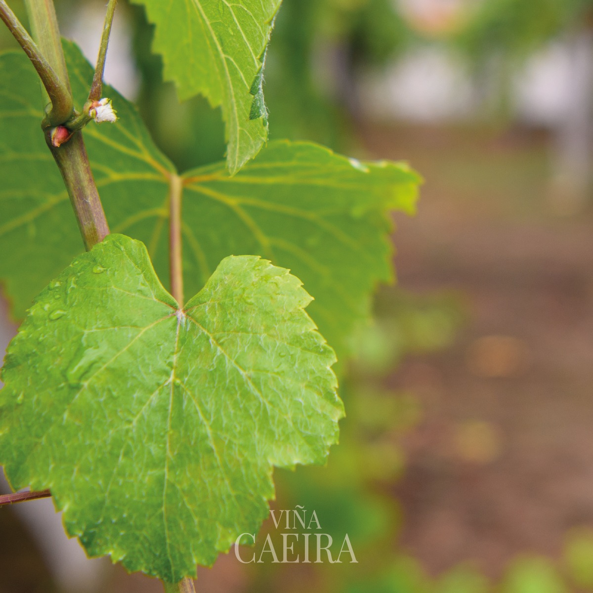 458800316_487455454253280_5794716912995437230_n