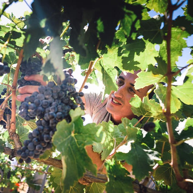 71958569_2655743787804164_596756418397208576_n