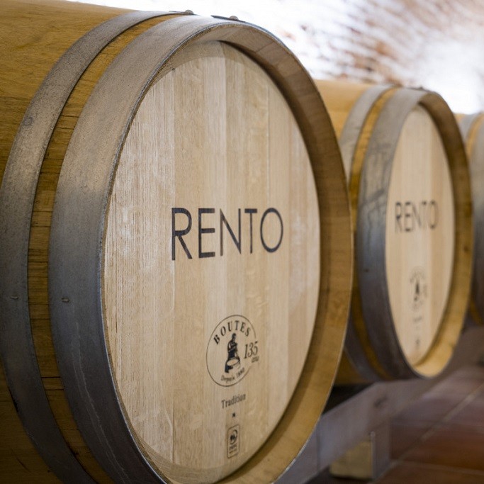 Bodega-Renacimiento-barricas-rento