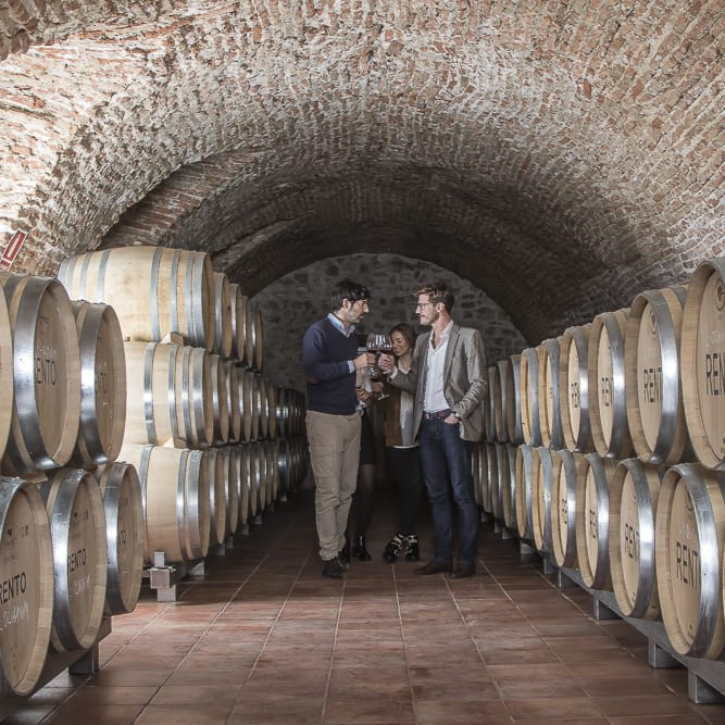 ENOTURISMO-EN-BODEGA-RENACIMIENTO