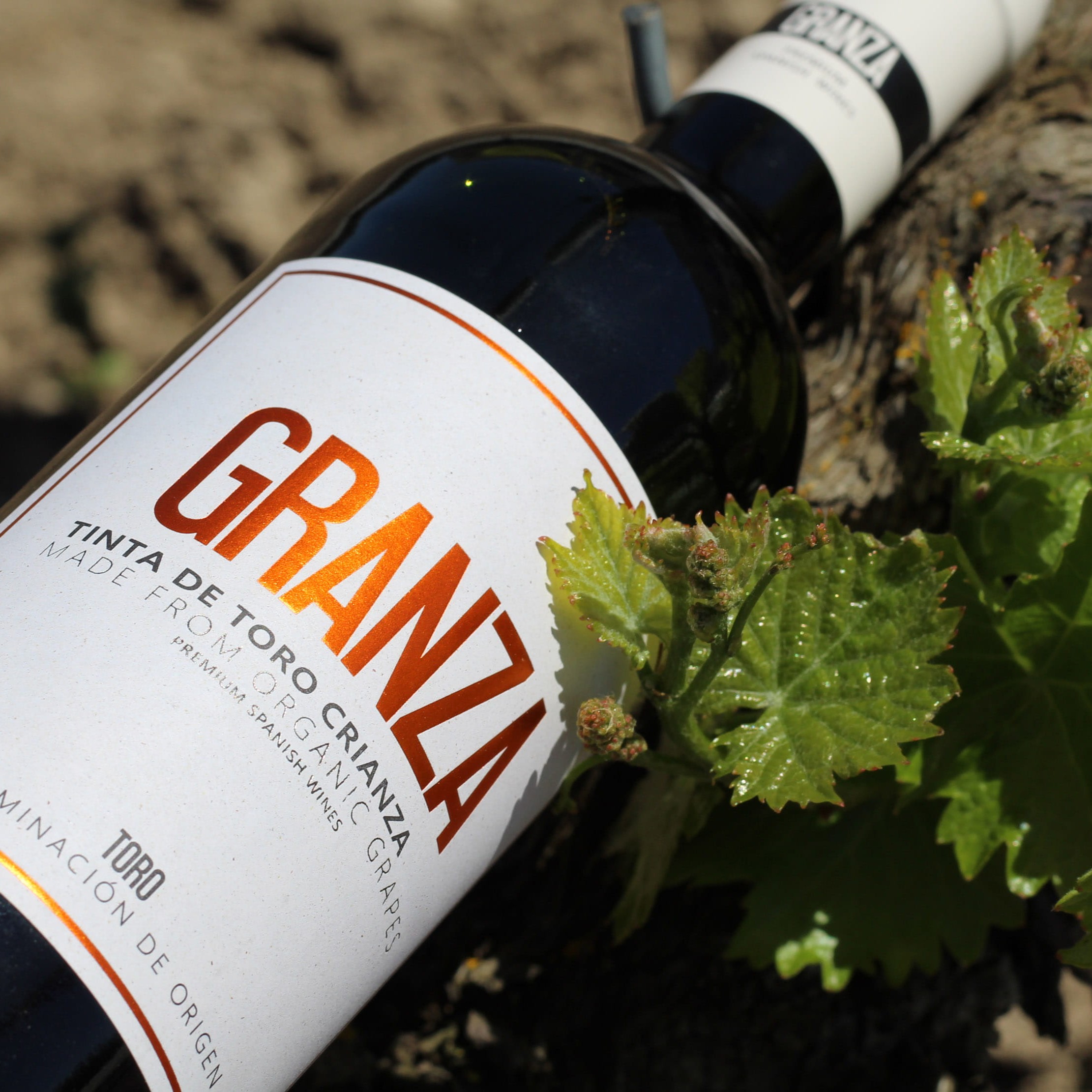 GRANZA-CRIANZA-ECOLOGICO-DO-TORO