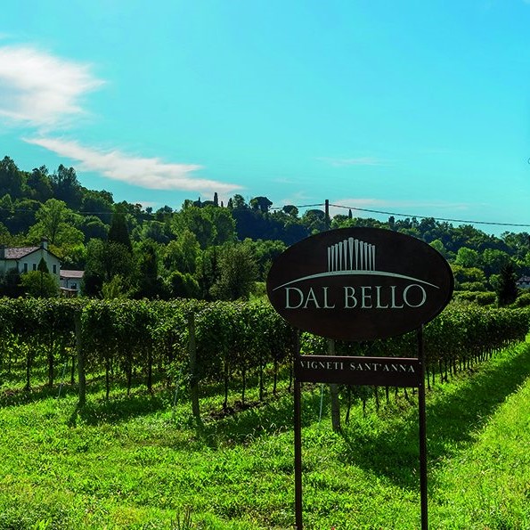 Vigneto-S-Anna-1000x595